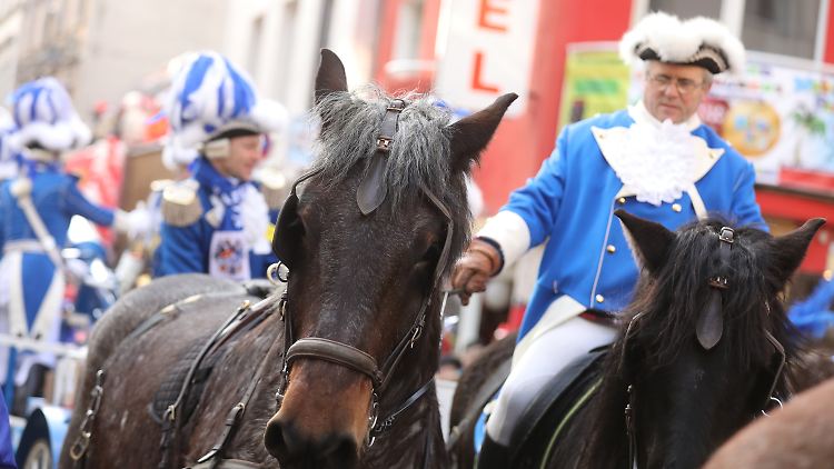 Tragende Rolle: Etwa 390 Pferde sind beim Kölner Rosenmontagszug dabei. 