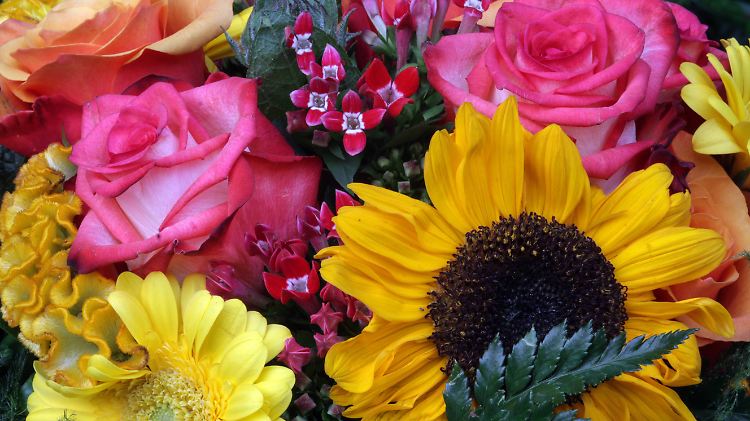 Blumen.jpg