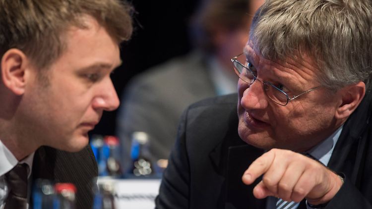 AfD-Chef Meuthen kritisiert die Wortwhl Poggenburgs - und relativiert gleichzeitig dessen Aussage.