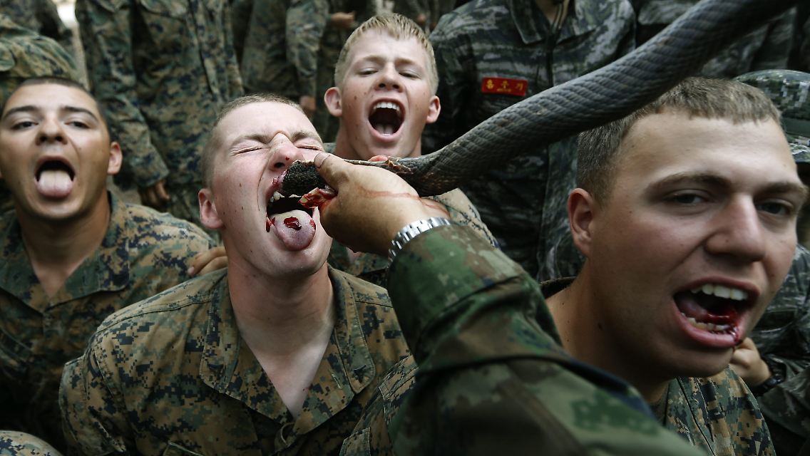 In einer thailändischen Provinz müssen die Soldaten alles kosten, was die Natur zu bieten hat.