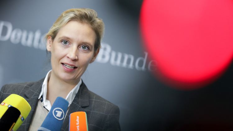 Deutsch, aber nicht deutsch genug. Für Alice Weidel gibt es bei der Frage der Nationalität offenbar Spielraum.