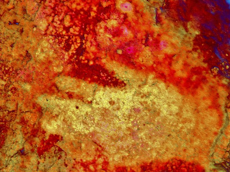 Der mehr als 66.000 Jahre alte Handabdruck eines Neandertalers an einer Höhlenwand in Spanien, Cartagena.