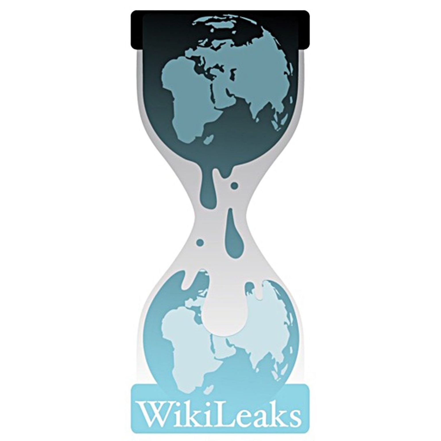 Der Enthüllungsseite Wikileaks ist das gelungen, was man einen Coup nennt. Hunderttausende Statements und Depeschen aus der internen Kommunikation des US-Außenministeriums sind der Seite zugespielt worden.