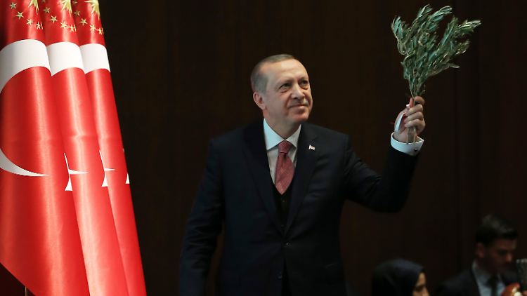 Spiel mit Symbolen: Der türkische Präsident Erdogan bringt zu einem seiner Auftritte einen Olivenzweig mit - ein Verweis auf die "Operation Olivenzweig" im Norden Syriens.