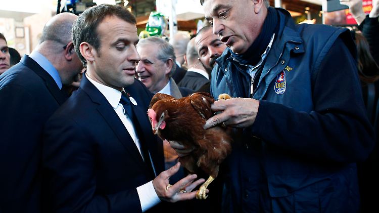 "Wir werden einen Hühnerstall im Elysée aufmachen."