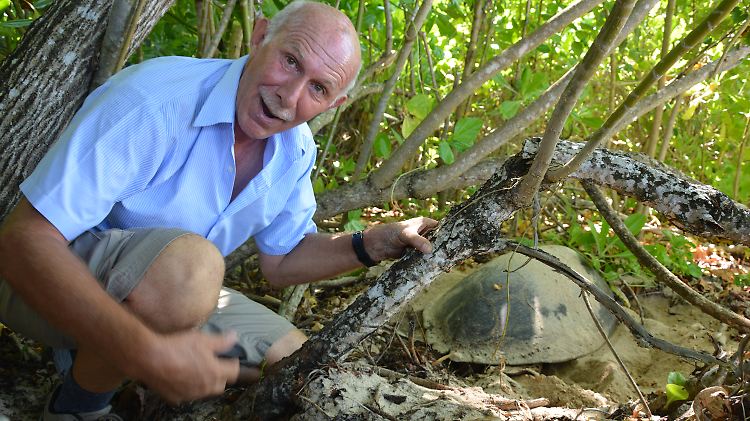 Adrian Allison kümmert sich um die Bedürfnisse der Urlauber - und der Schildkröten.