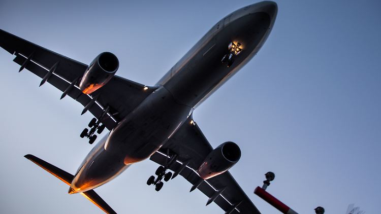 Als sich die Türen des Radkasten öffneten, um die Räder einzufahren, stürzten die Jugendlichen aus dem Flugzeug.