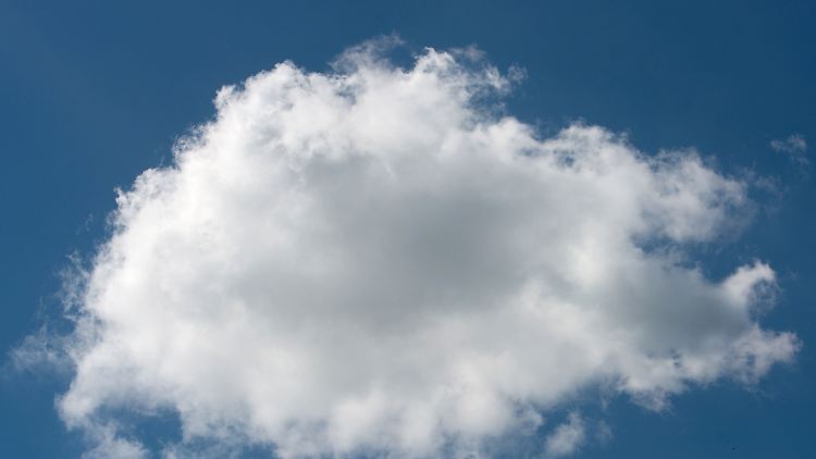 Die Cloud sorgt für das Wachstum.