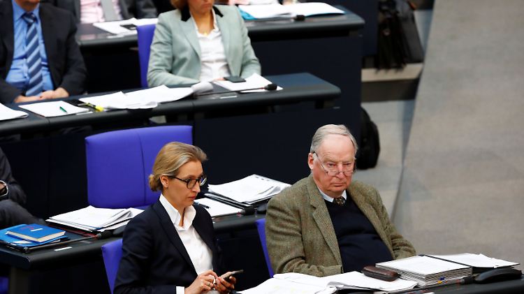 Die AfD-Fraktion kassiert eine Schlappe mit ihrem Antrag.