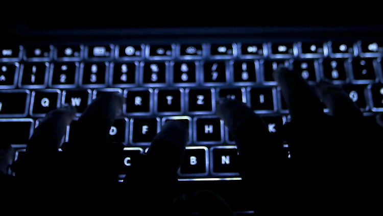 Die Abgeordneten sprechen von einem "veritablen Cyberangriff".