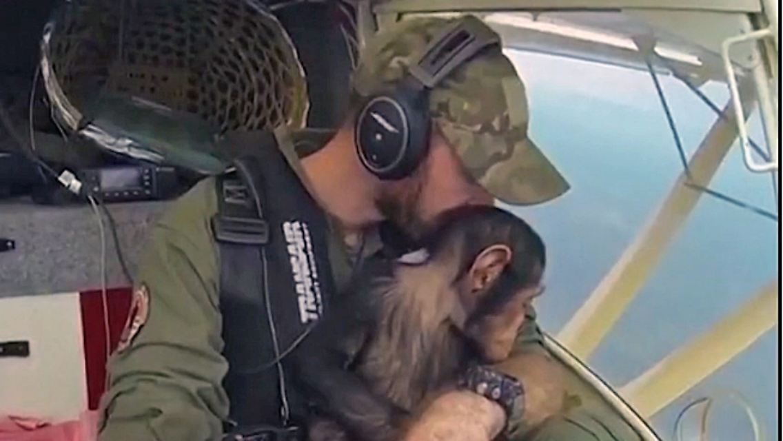 Affe2.jpg