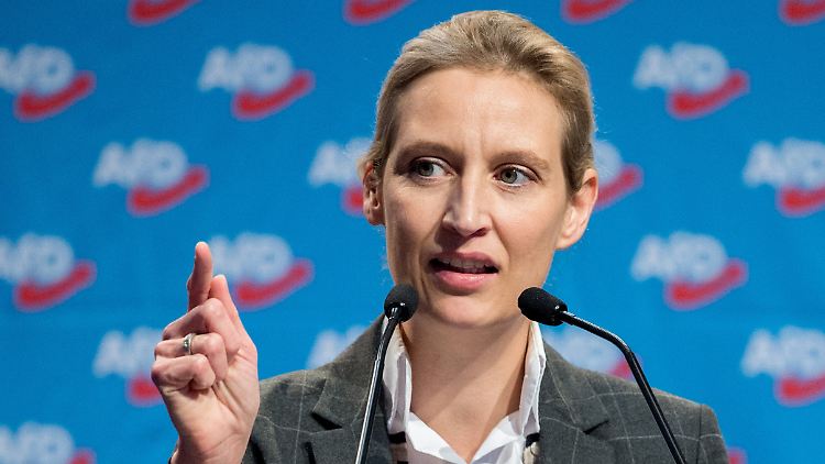 Fraktionschefin Alice Weidel räumt ein Spannungsfeld zwischen Ost- und Westbundesländern ein.