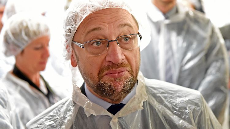 Ende April 2017 hatte Kanzlerkandidat Schulz einen Termin in einer Fischräucherei in Eckernförde.