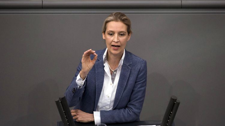 AfD-Fraktionschefin Weidel hat sich in Zürich mit Bannon getroffen.