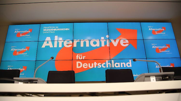 Informationen zur AfD würden durch den Verfassungsschutz fortlaufend bewertet, heißt es aus dem Bundesinnenministerium.