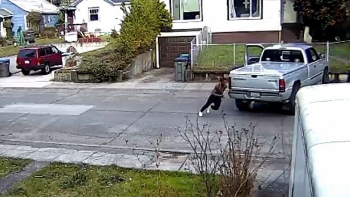 räuber.JPG