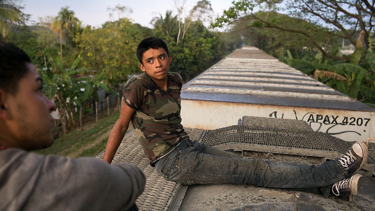 José ist erst 16 Jahre alt. Der Kaffeebauer aus Honduras kann sich kein anderes Transportmittel als die "Bestie" leisten.