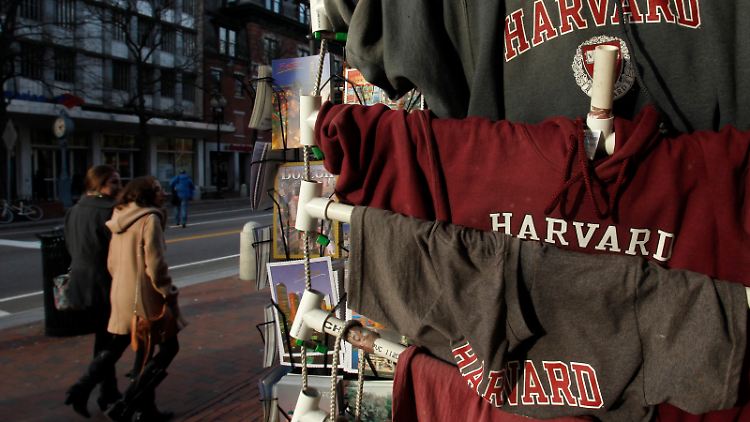 Die Elite-Universität Harvard schwimmt im Geld - und will nun Tausende Mandelbäume pflanzen.