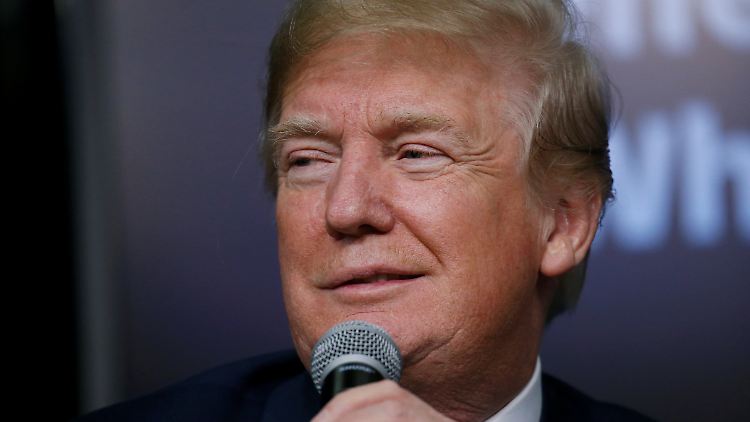 Spannt Donald Tump die EU-Staaten vor seinen Karren?