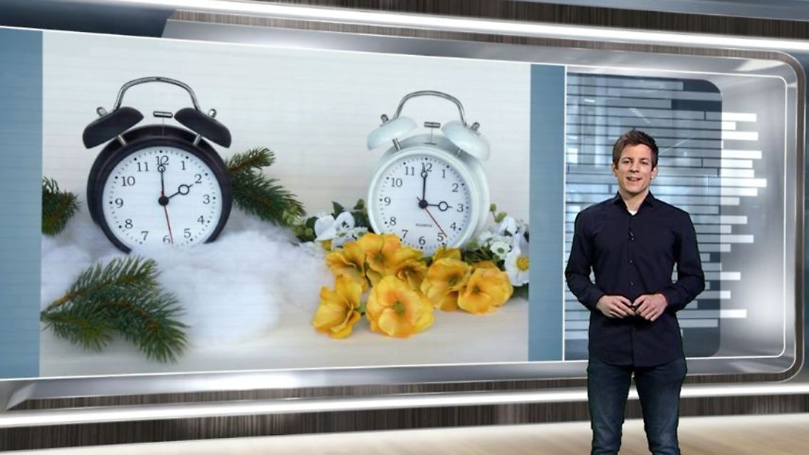 netzreporter2.JPG