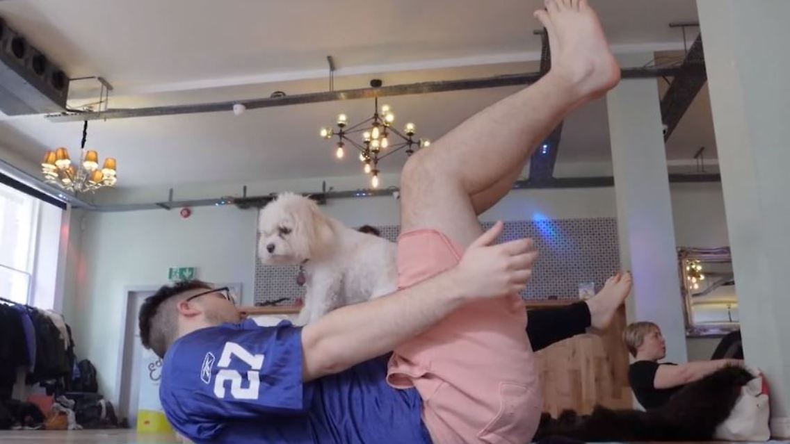 doga2.JPG