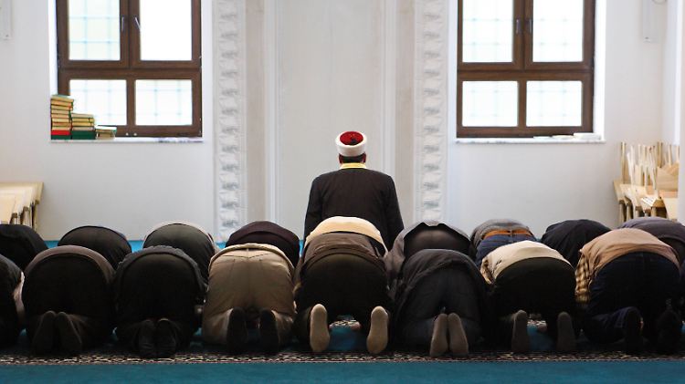 Können "schon heute in Berlin beginnen". Laut dem Zentralrat der Muslime stehen zehn Imame für den Kampf gegen den Antisemitismus an Schulen bereit. 