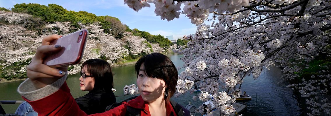 Techwerte unter Druck: In Tokio blühen die Kirschblüten - während an der Börse frostige Stimmung herrscht.