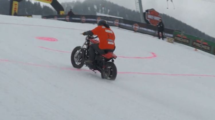 harley.JPG