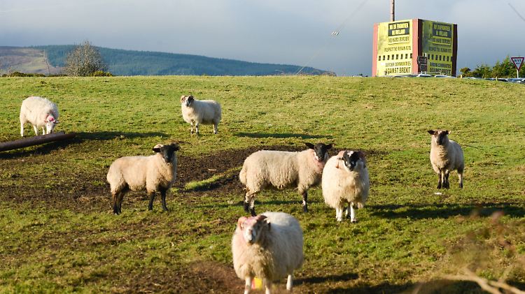 Das Karfreitagsabkommen sorgte 1998 dafür, dass an der Grenze zwischen Nordirland und der Republik Irland keine Polizisten mehr gebraucht werden.
