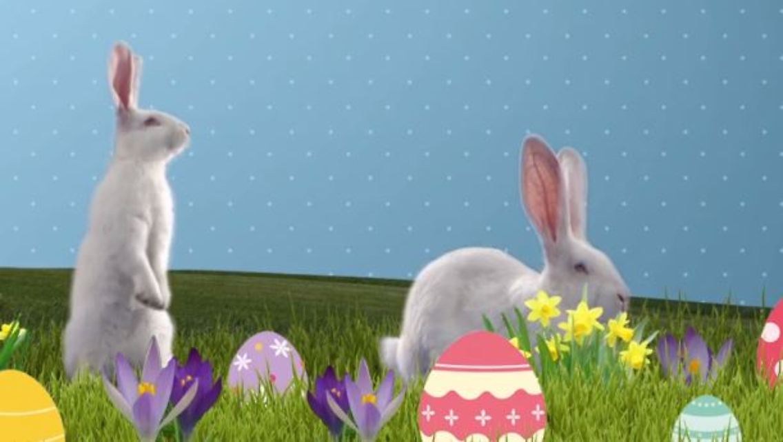 Ostern Fakten.JPG