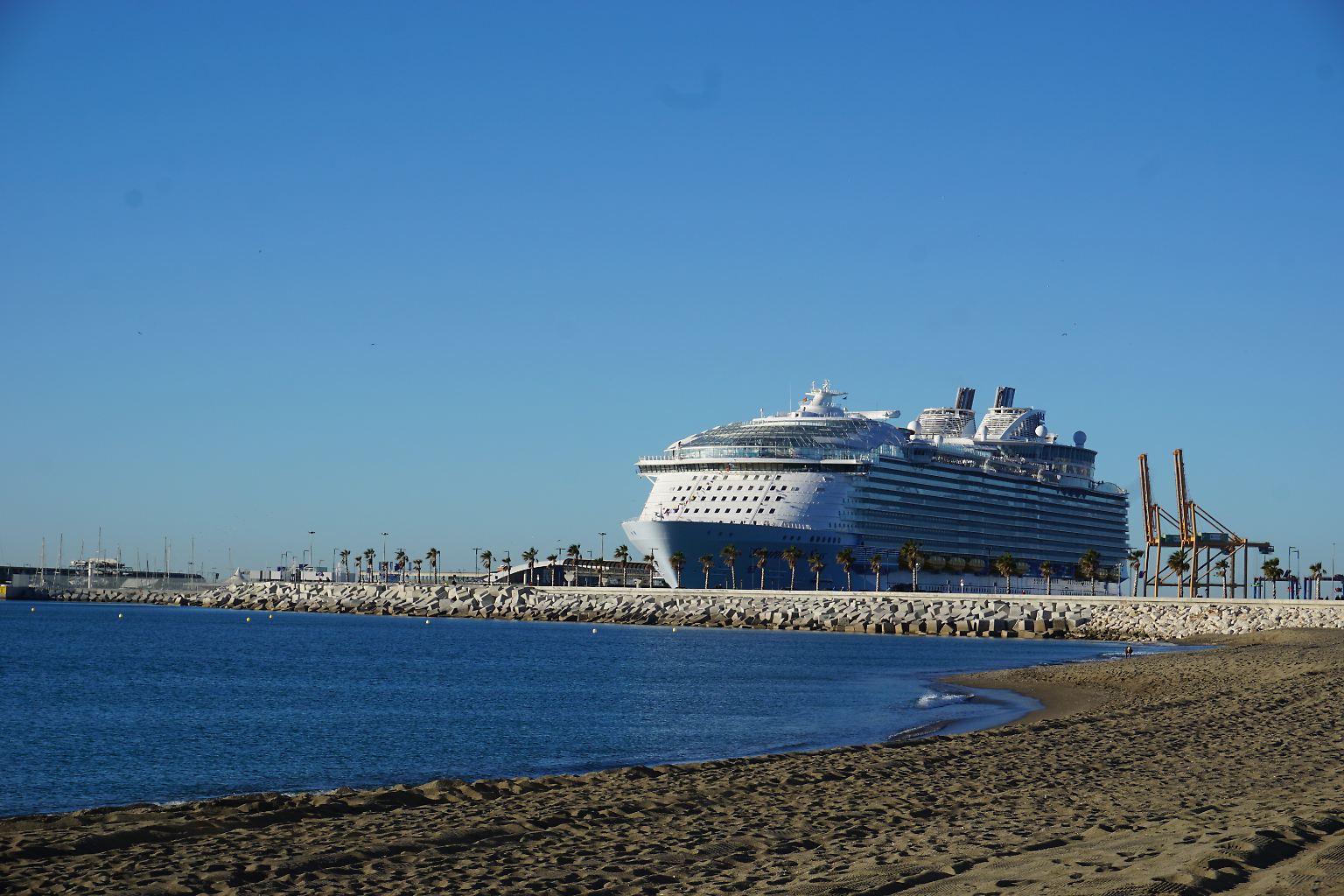 Auch wenn die Symphony of the Seas mit 362 Metern Länge und ...  
