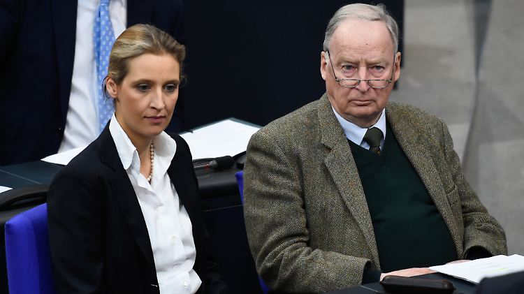 AfD-Fraktionschef Gauland spricht sich für  Gustav Stresemann aus. Seine Ko-Fraktionschefin Weidel favorisiert die Deiderius-Erasmus-Stiftung.