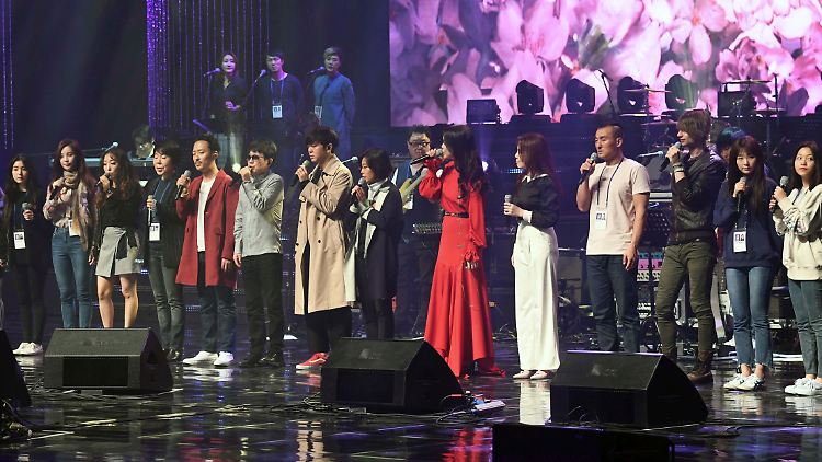 Etliche südkoreanische Stars standen in Pjöngjang auf der Bühne.