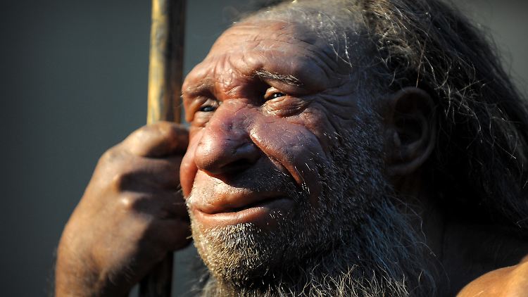 Die letzten Neandertaler im Nordwesten Europas sollen vor mehr als 40.000 Jahren gelebt haben.