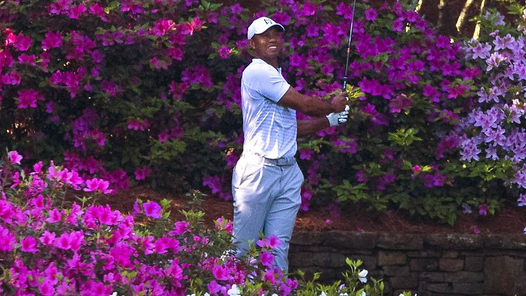 Tiger Woods ist zurück auf dem Grün - auch wenn das in Augusta aufgrund der Blütenpracht kaum zu sehen ist.