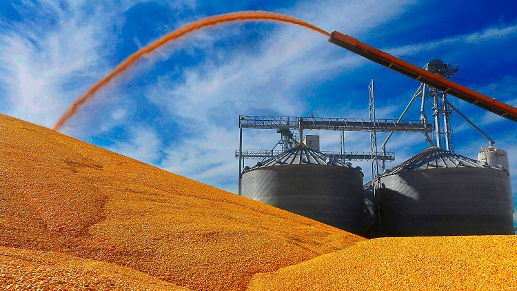Exportprodukte aus den USA: Mais aus Illinois kann die Ungleichgewichte im Welthandel nicht aufhalten.