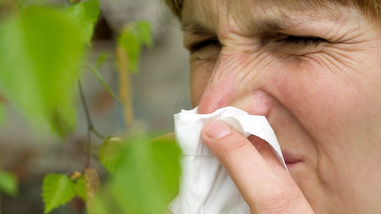 Der Frühling ist da und damit jede Menge Pollen für Allergiker.