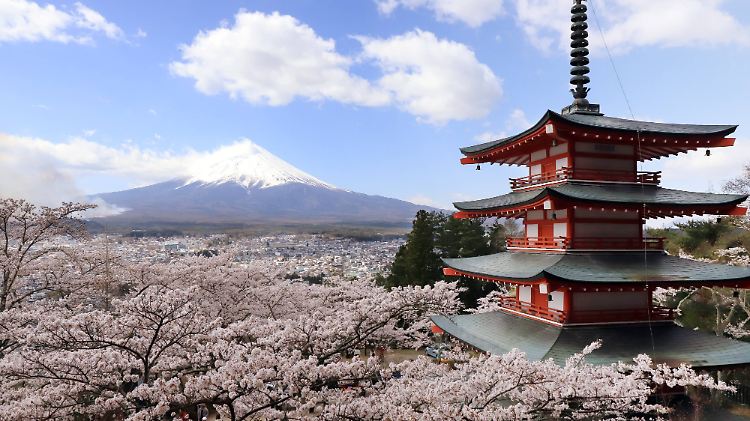 Bilderbuchfrühling am Fuji: Die düsteren Vorgaben von der Wall Street hinterlassen in Tokio keine größeren Spuren.