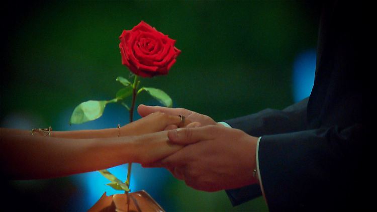 Künftig haben beim "Bachelor" mehrere Hände ihre Finger im Spiel.