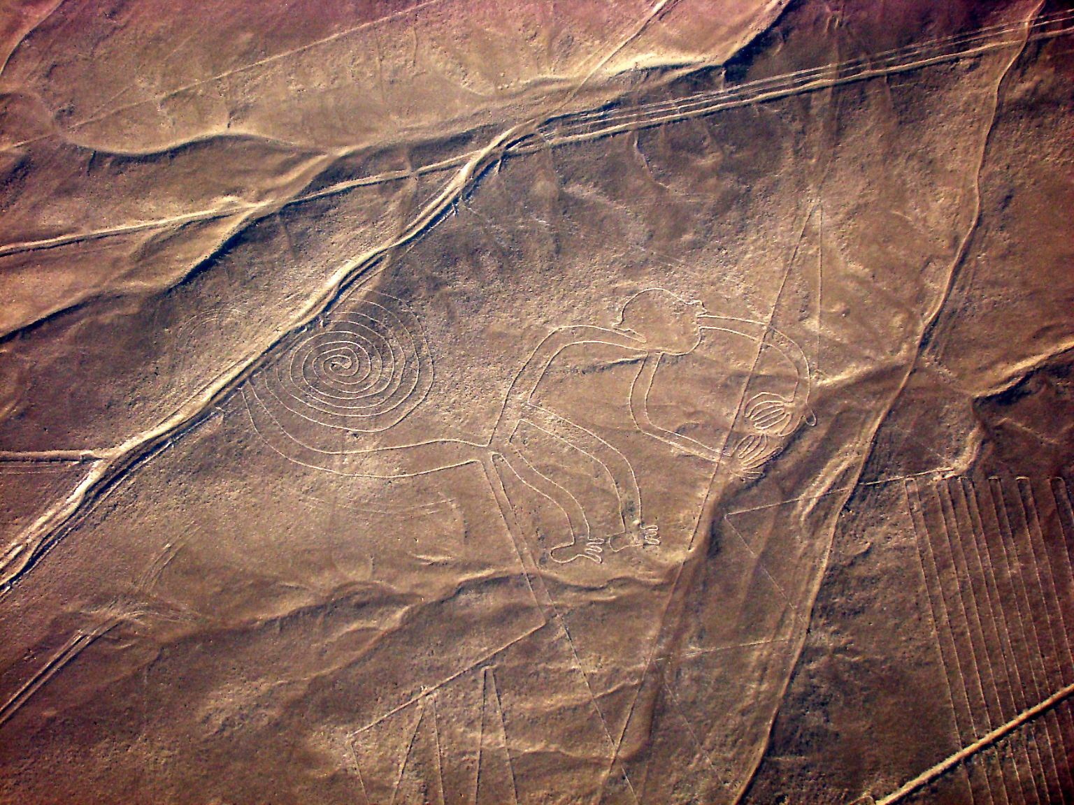 Die Nazca-Linien in Peru sind legendär. (Im Bild: Affe)
