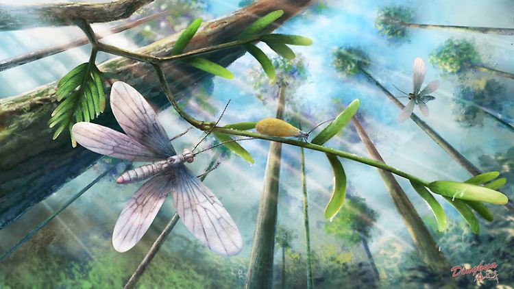 Rekonstruktionszeichnung der Lebewelt im kreidezeitlichen Bernsteinwald von Burma (Myanmar). Im Vordergrund ist ein Vertreter der ausgestorbenen Gruppe der Tarachoptera mit durchsichtigen Flügeln zu sehen, im Hintergrund ein mottenähnlicher Schmetterling mit metallisch glänzenden Strukturfarben.