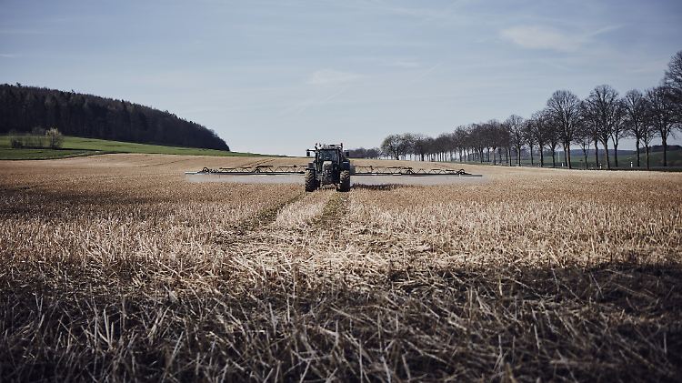 Der Unkrautvernichter Glyphosat war 2017 in der EU nach monatelangem Streit für weitere fünf Jahre zugelassen worden.