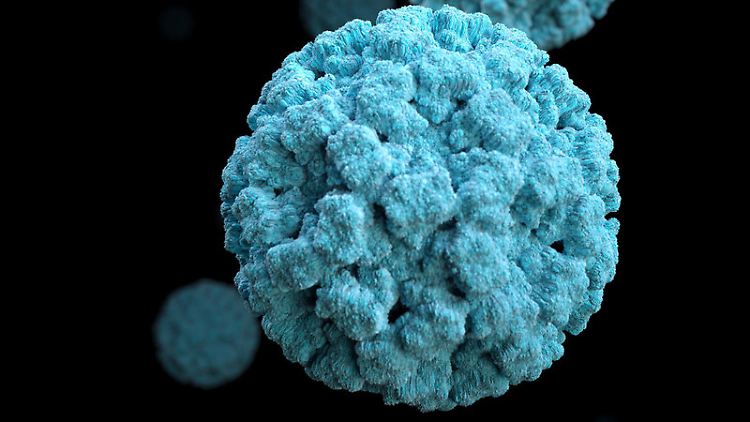 Norovirus ist weltweit eine der Hauptursachen für Magen-Darm-Erkrankungen.