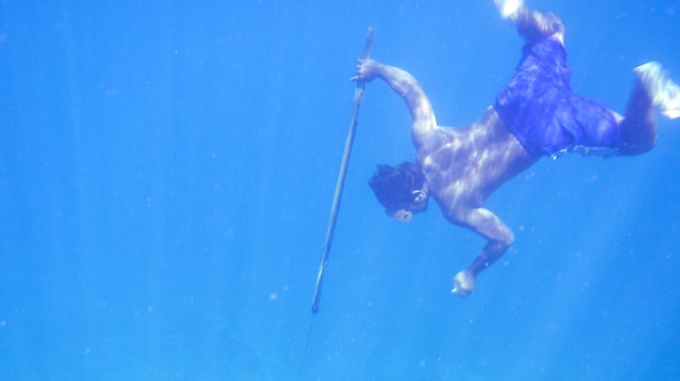 Bajau-Taucher bei der Jagd nach Fisch mit einem traditionellen Speer.