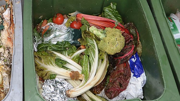 Jährlich wirft der Durchschnittsdeutsche rund 90 Kilogramm Lebensmittel in die Mülltonne.