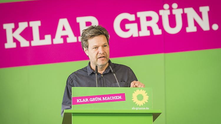 Der Grünen-Vorsitzende Robert Habeck