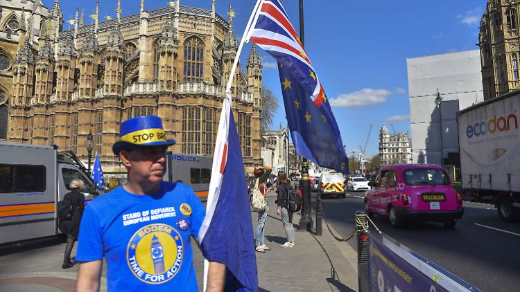 Ein Brexit-Gegner demonstriert vor dem Parlament in London.
