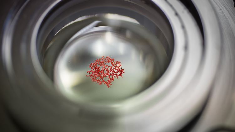 Mikroplastikpartikel in einer Meerwasserprobe werden im Labor des Alfred-Wegener-Instituts untersucht.