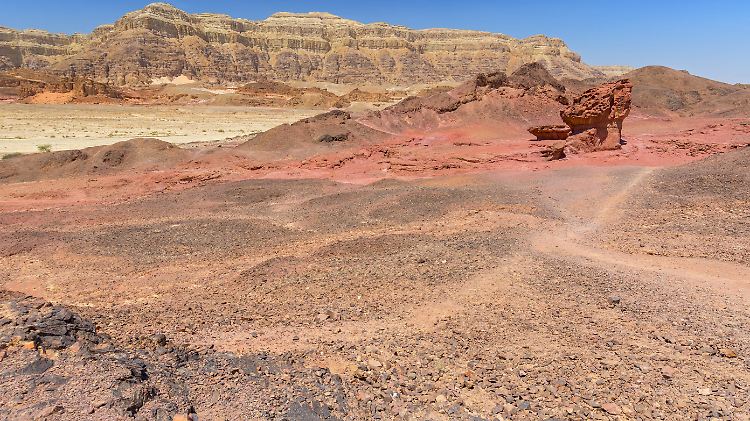 Die Teenager-Gruppe war in der Arava-Wüste unterwegs.