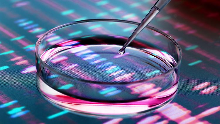 Bisher dürfen DNA-Tests in Strafverfahren nur genutzt werden, um die Abstammung zu klären, und dazu, Spuren zuzuordnen.